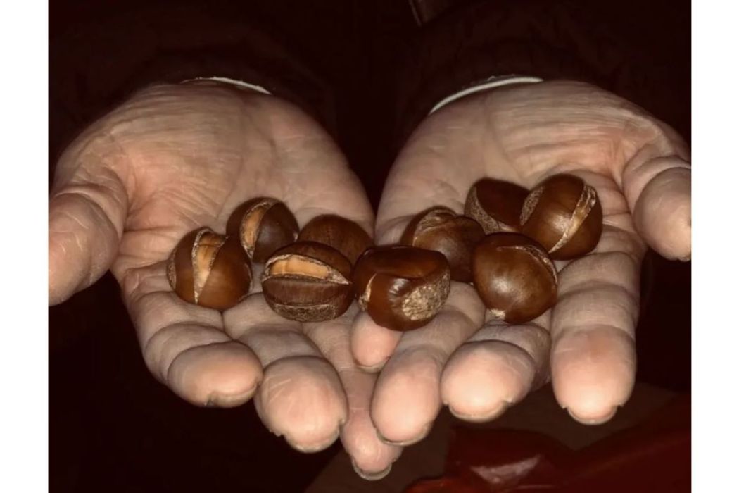 外婆的話 外婆的話