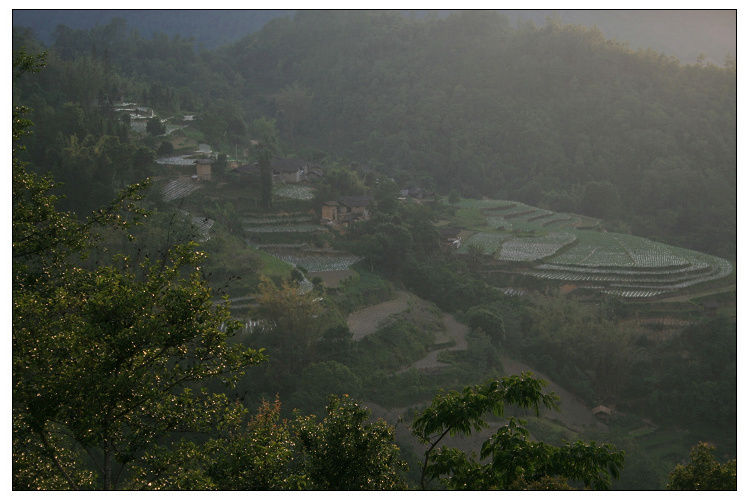 風吹坡村(雲南省龍陵縣龍山鎮下轄村) 風吹坡村(雲南省龍陵縣龍山鎮下轄村)