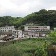 和樂村(雲南大理州鶴慶縣六合鄉下轄村) 和樂村(雲南大理州鶴慶縣六合鄉下轄村)