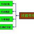 過渡性價值