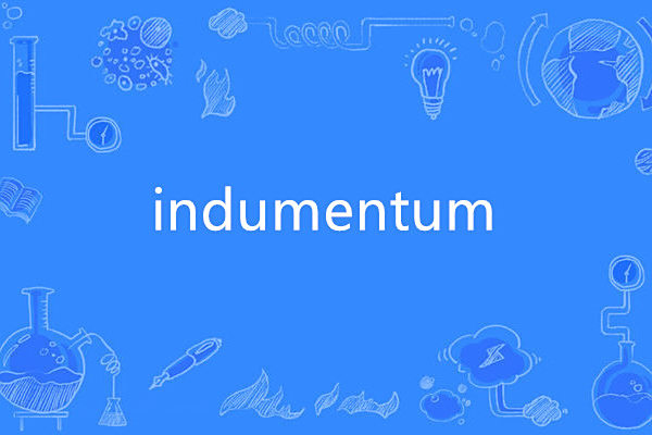 indumentum