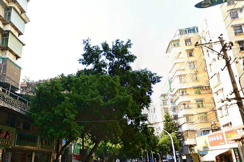 豆仔尾路 豆仔尾路
