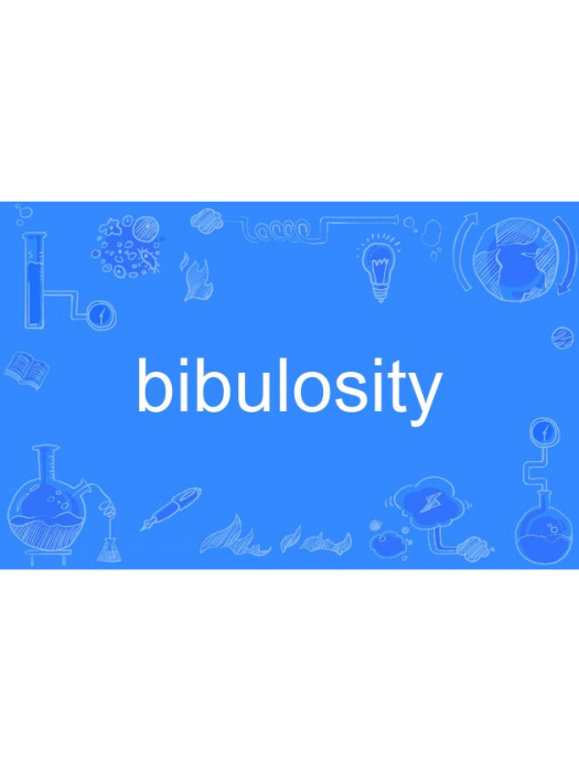 bibulosity bibulosity