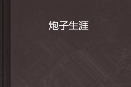 炮子生涯 炮子生涯