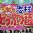 志村動物園 志村動物園