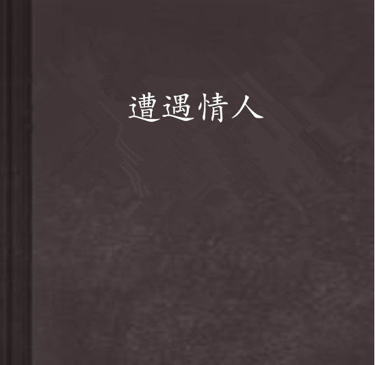 遭遇情人 遭遇情人