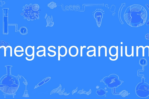 megasporangium megasporangium