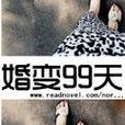 婚變99天 婚變99天