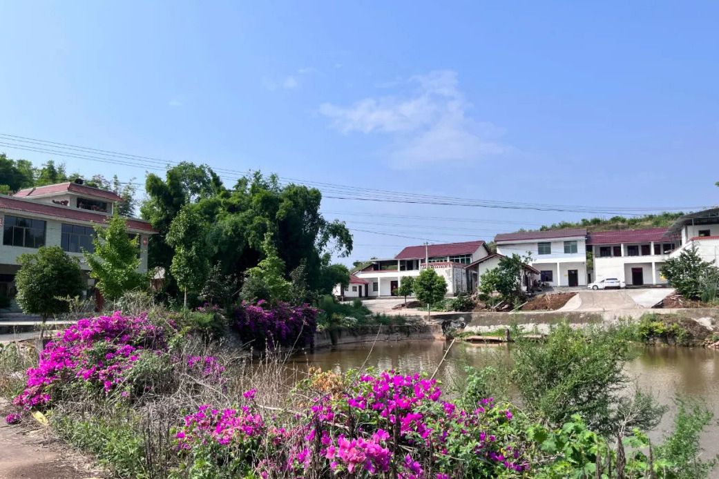 明月村(四川省資陽市雁江區中和鎮下轄村) 明月村(四川省資陽市雁江區中和鎮下轄村)