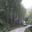 駱家舍村 駱家舍村