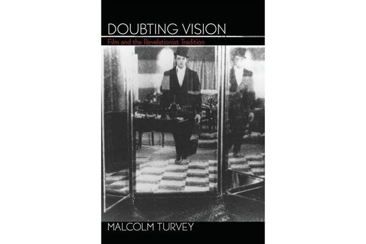 Doubting Vision Doubting Vision