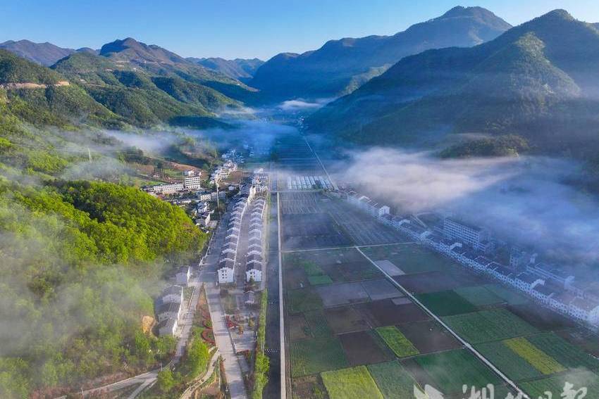 芭桃村
