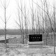 千乘縣(高青縣唐坊鎮盧家村) 千乘縣(高青縣唐坊鎮盧家村)