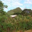 灰竹坪村 灰竹坪村