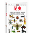 昆蟲：全世界550多種昆蟲