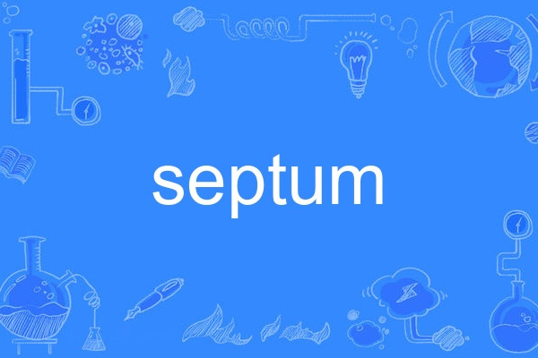 septum septum