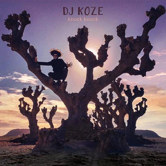 knock knock(DJ Koze專輯) knock knock(DJ Koze專輯)