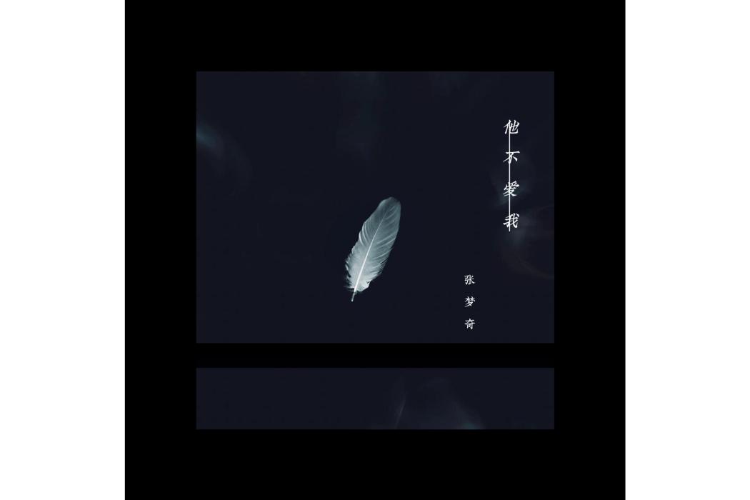 他不愛我(張夢奇的音樂專輯) 他不愛我(張夢奇的音樂專輯)