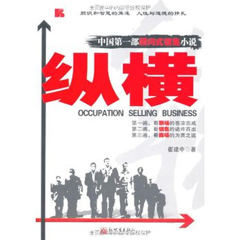 縱橫：中國第一部顧問式銷售小說