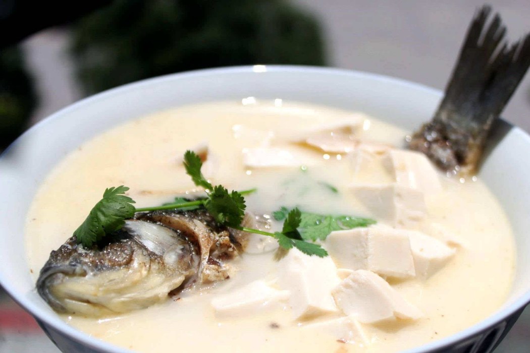 奶湯鯉魚 奶湯鯉魚