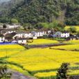焦村鎮(安徽省黃山市黃山區焦村鎮)
