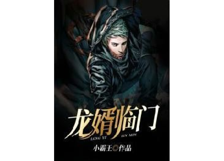 龍婿臨門 龍婿臨門