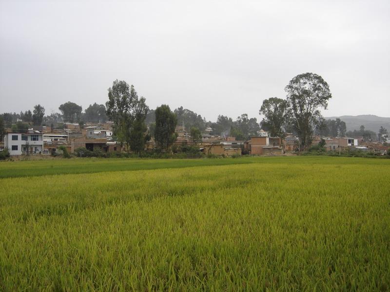 阿朋寨村 阿朋寨村