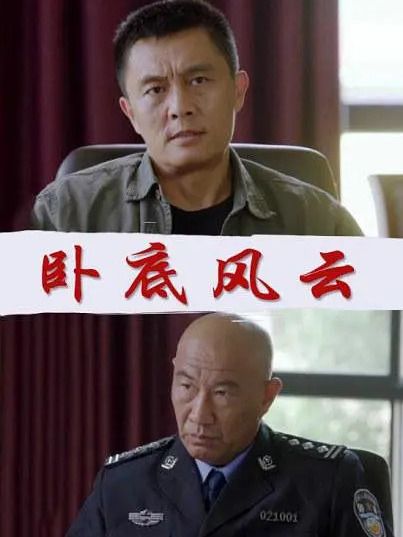 臥底風雲(2019年楊海波執導的犯罪題材電影) 臥底風雲(2019年楊海波執導的犯罪題材電影)