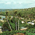 瓦瓦烏群島