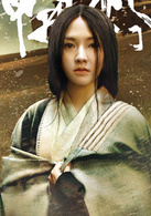 龍門飛甲(2011年徐克、張之亮執導電影)