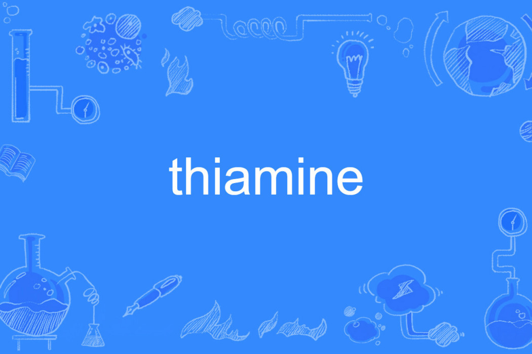 thiamine thiamine