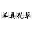 羊真孔草 羊真孔草
