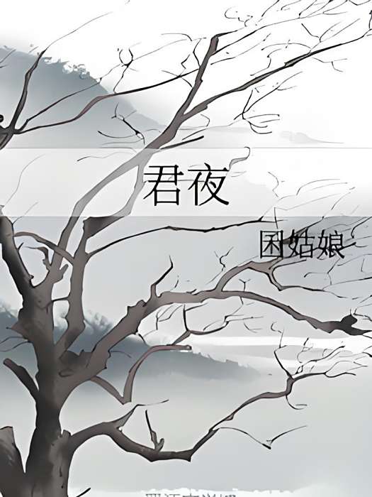 君夜(囷姑娘所著小說) 君夜(囷姑娘所著小說)