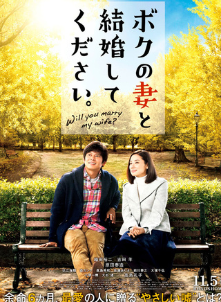 吉田羊 吉田羊