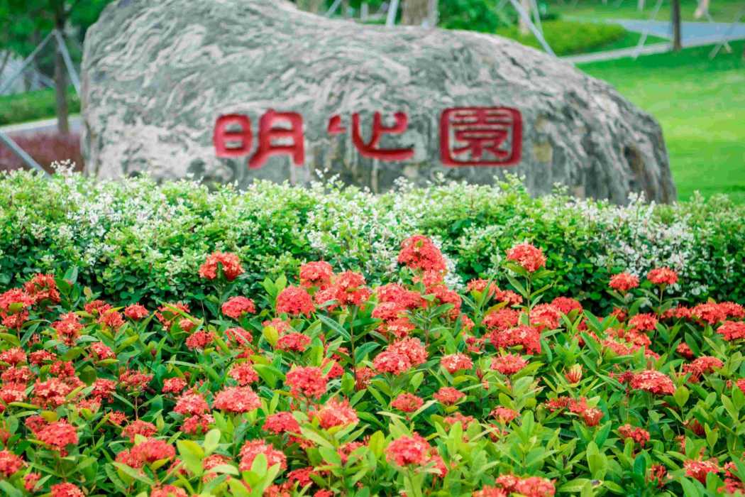 明心園 明心園