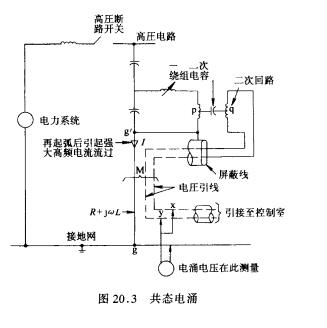 共態