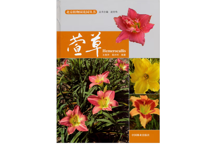萱草(2014年中國林業出版社出版的圖書) 萱草(2014年中國林業出版社出版的圖書)
