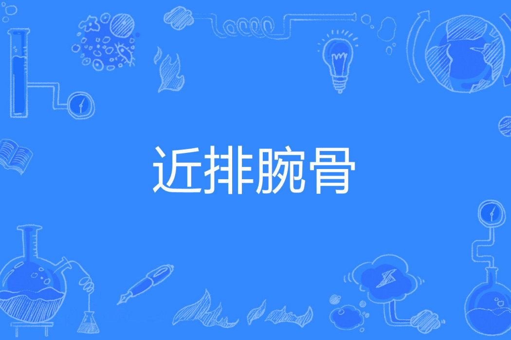 近排腕骨 近排腕骨