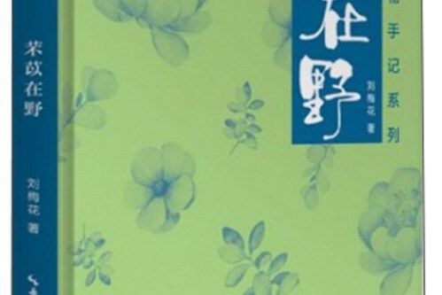 芣苡在野 芣苡在野
