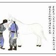 販騾馬 販騾馬