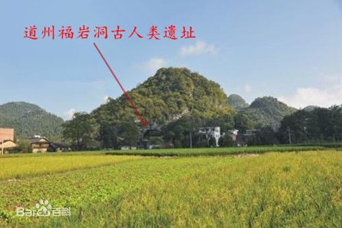塘碑村 塘碑村