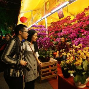 迎春花市
