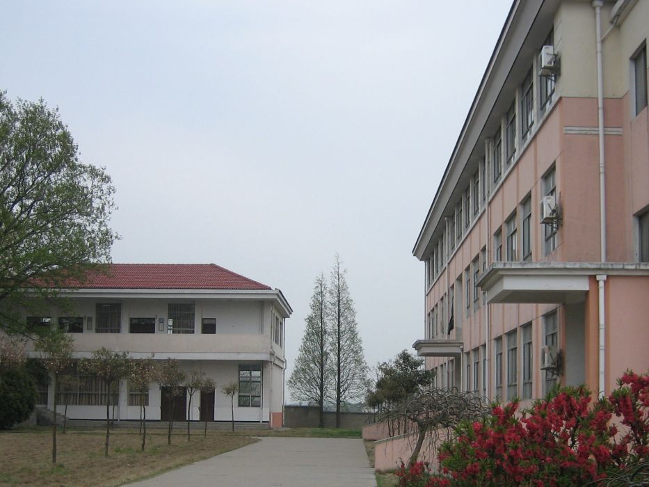 石湫中學 石湫中學