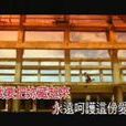 把你藏起來