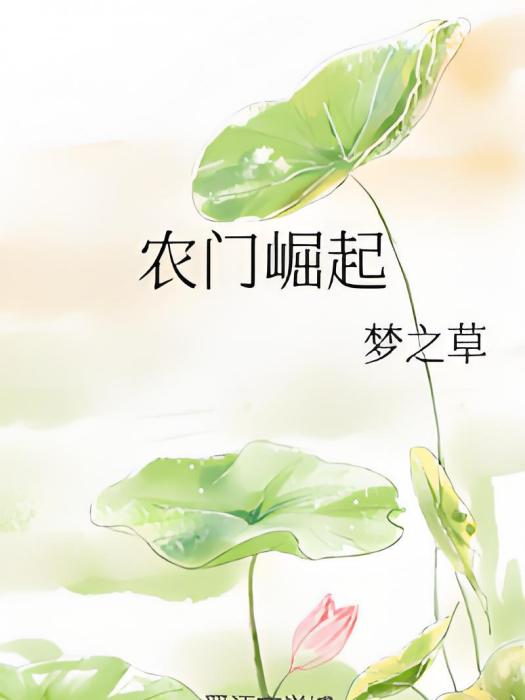 農門崛起 農門崛起