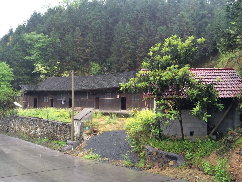 野豬溪村 野豬溪村