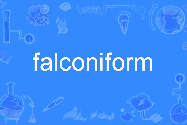falconiform falconiform