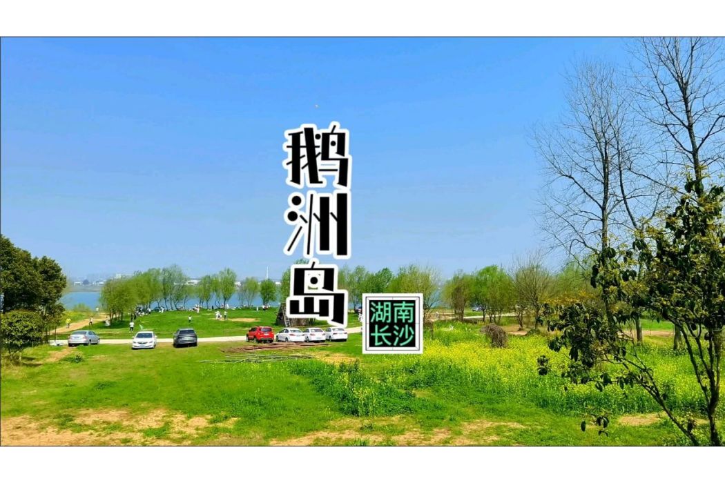 鵝洲島
