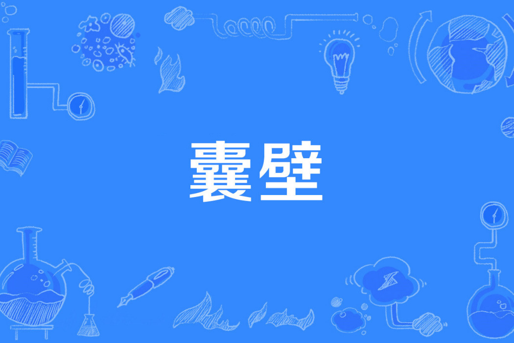 囊壁 囊壁