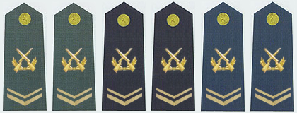 陸海空軍三級士官肩章(2007—2009)